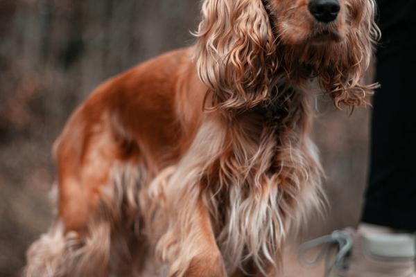 2024年6月财运逆天的生肖 蛇牛猴生财有道财源滚滚