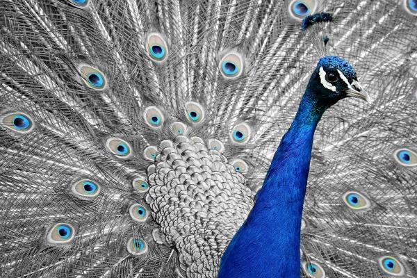 2024年属龙宝宝取名禁忌，属龙人取名不宜用什么字