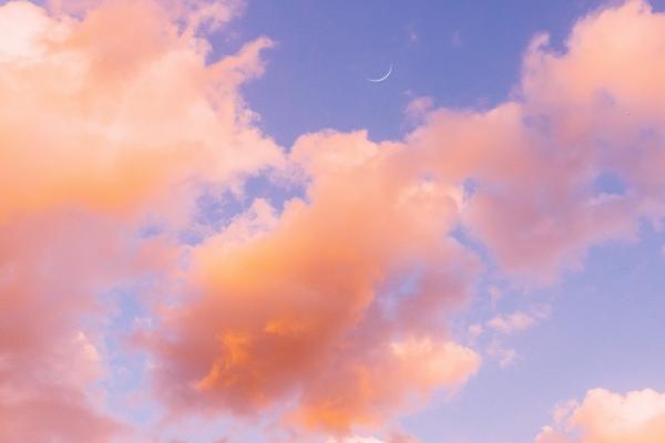 苏珊米勒 12星座本周运势详解0731~0806