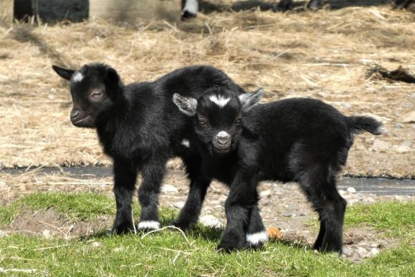 2023年8月11日搬家好不好 适合入住新房吗