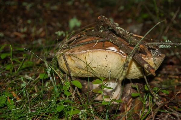 2023年小雪事业运发展趋势非常好的星座 升职加薪很容易