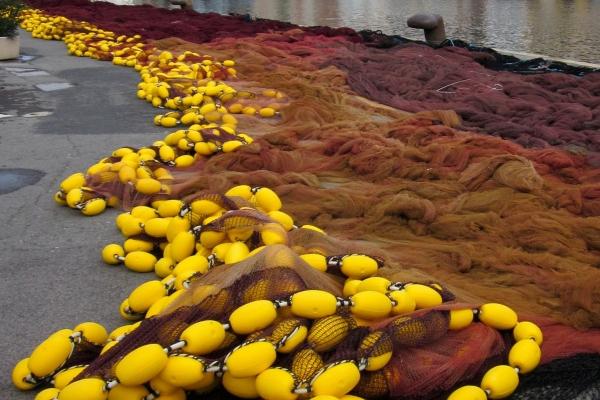 闹闹女巫 0807十二星座今日运势