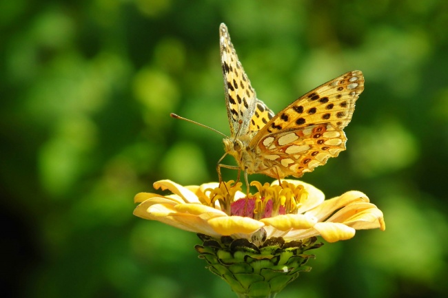 2023年8月25日财神方位查询 今天财神位置方向