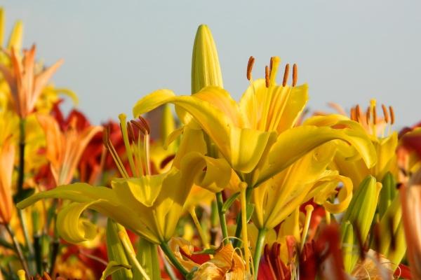 怎么看偏财旺不旺 怎样才算旺