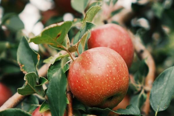 什么人偏财运好 什么样的人有偏财