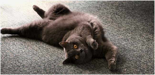 没有偏财运的人怎么办 缺财解决方法