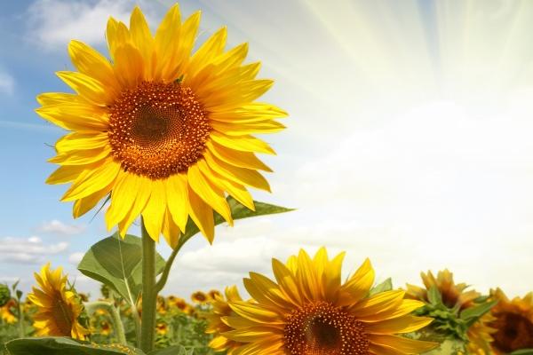 2023年8月30日开业黄道吉日查询 中元节开业好吗