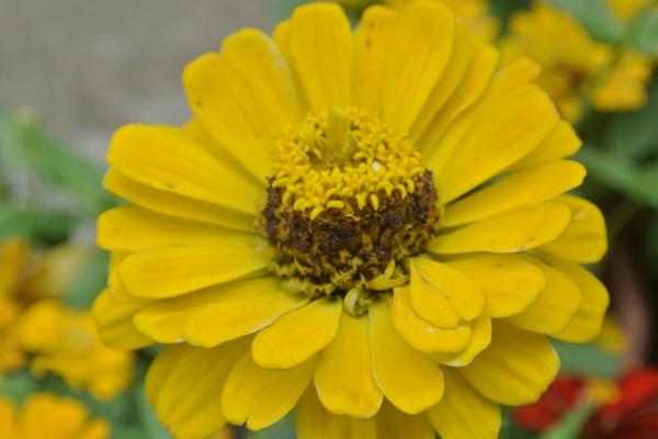 2023年8月27日出行好吗 宜出行吗