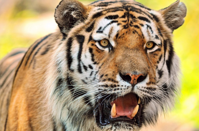 2023年8月17日搬家好不好 适合入住新房吗