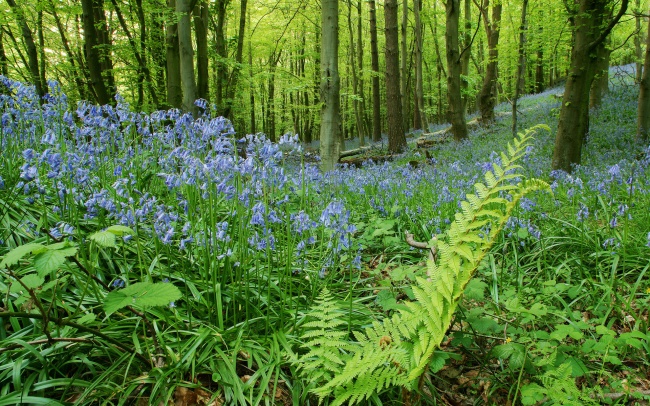 2023年8月22日装修好吗 可以装修房子吗