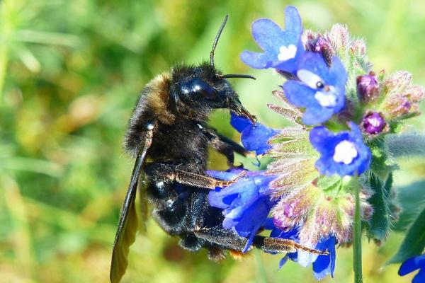 狂月天时 0803每日星座运势