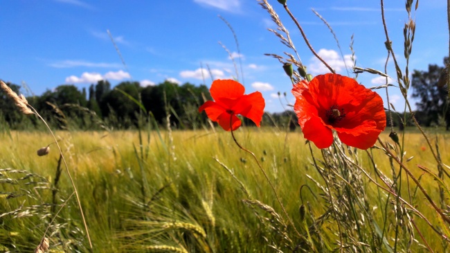 2023年8月7日财神方位 今日财神方位查询
