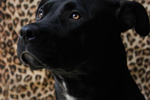 2023年寒衣节事业运发展趋势非常好的星座 学会许多新知识