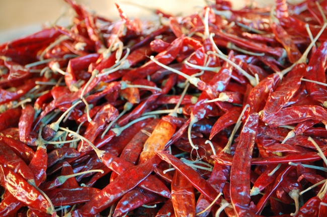 静电鱼 狮子座星运详解【周运7月31日-8月6日】