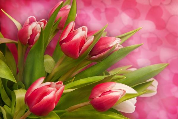 2023年8月28日吉时查询 时辰大全