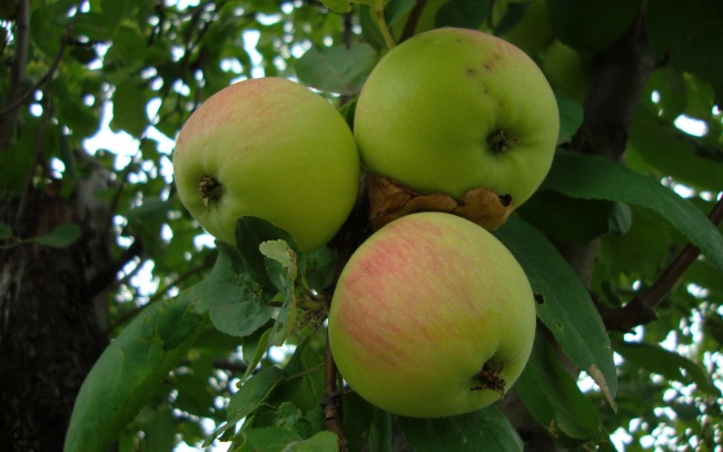 2023年8月14日提车好吗 日子吉利吗