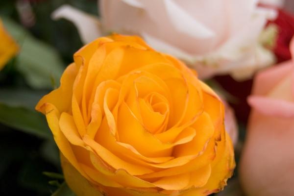 2023年8月19日吉时是几点 几点最吉利