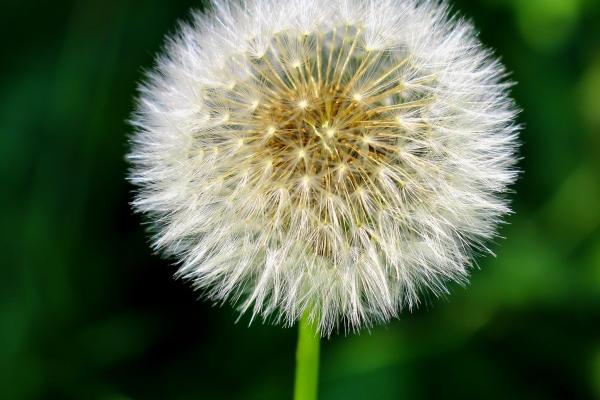 2023年8月25日可以搬家吗 日子吉利吗