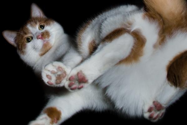 2023年大雪健康运爆棚的星座 魅力四射  　　