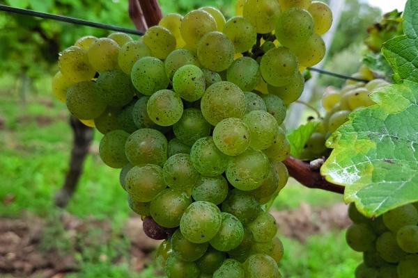 2023年9月8日能不能搬新家 白露乔迁搬新家好不好