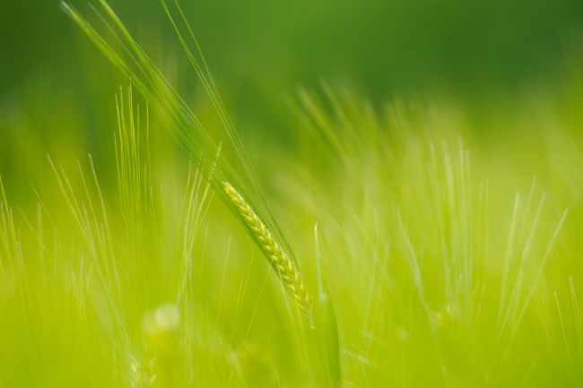 2023年9月30日动土好吗 今日动土好不好