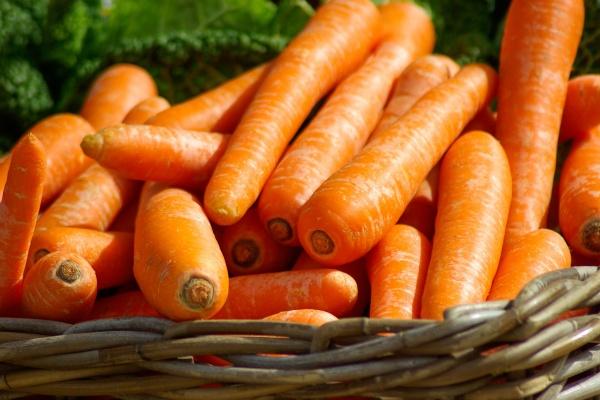 能把金牛座玩死的星座?惹不起也躲不掉!