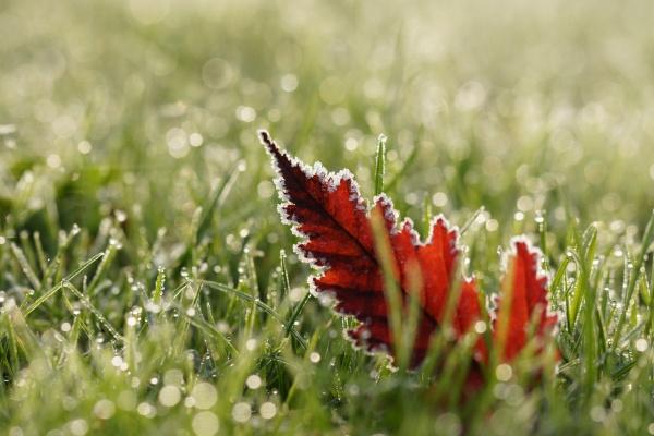 正财偏财同时出现在命局男 正财和偏财的区别