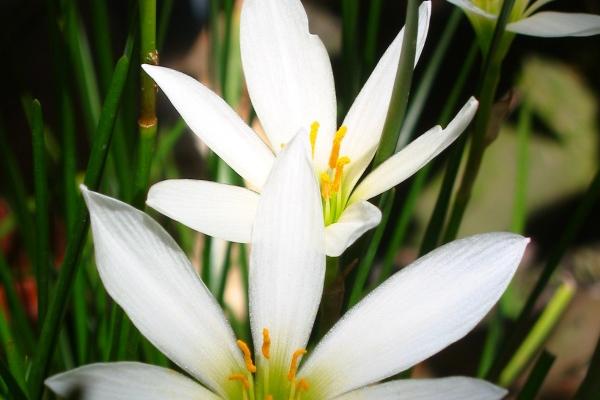 2023年9月13日可以安门吗 今日安门吉时查询