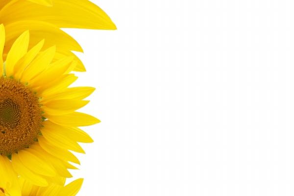 2024年7月十二生肖运势排行榜 你是幸运属相吗