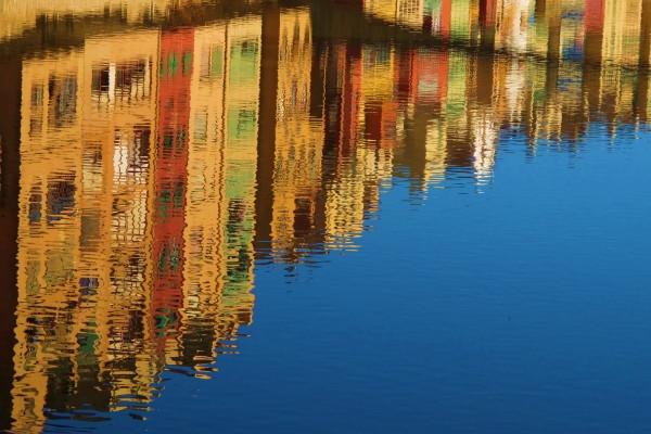 2024犯太岁生肖鼠 属鼠人最新运势大全