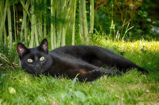 唐立淇 每日12星座运势8.16