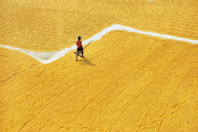 2024年12月正桃花最好的生肖 猴蛇兔桃花大开喜事成双