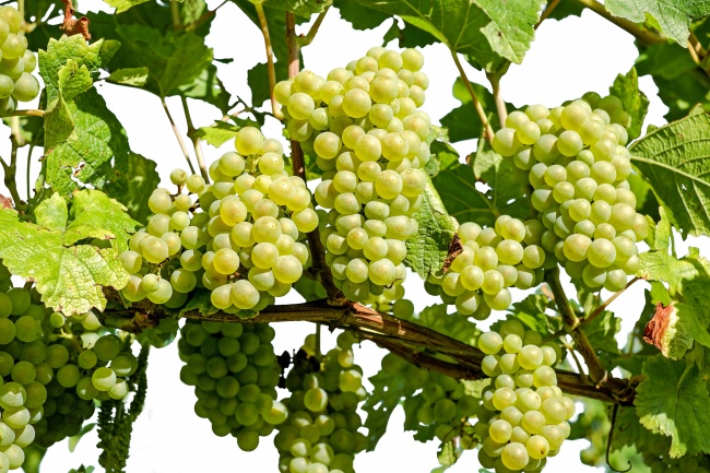 中午12点多出生是什么时辰 午时出生的人命运