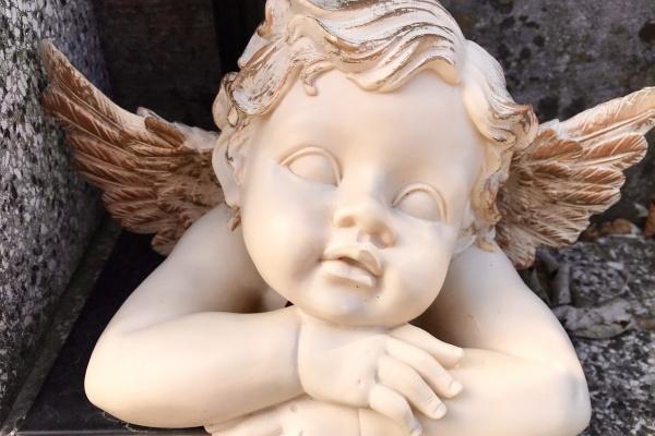 2024年10月运气最好的生肖 幸运星龙狗牛鸡