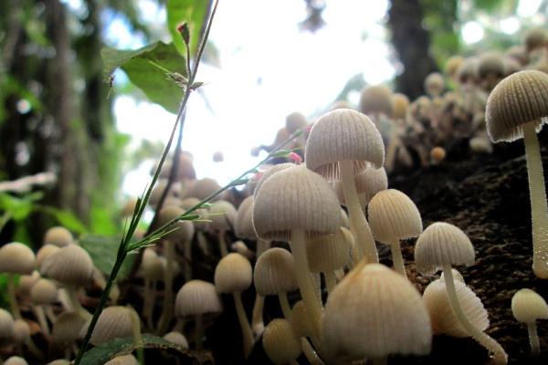 2023年9月2日入宅好不好 入宅吉利吗