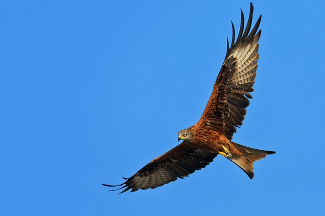 2023年9月9日宜乔迁搬家吗 是乔迁大吉日吗