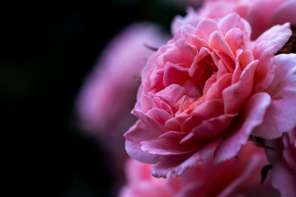 2023年9月26日动土好不好 适合建房子吗