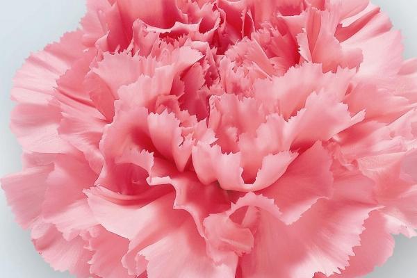 2023年9月28日领结婚证好不好 这天领证寓意好不好