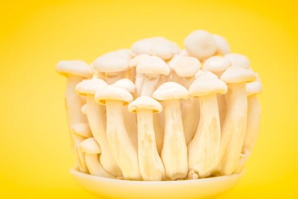 女命财多身弱丈夫有钱是什么意思 有什么说法