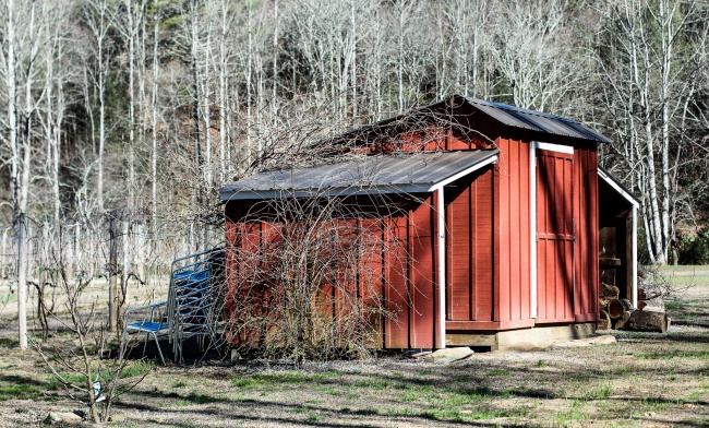 Alex 处女座本周运势详解8.07—8.13