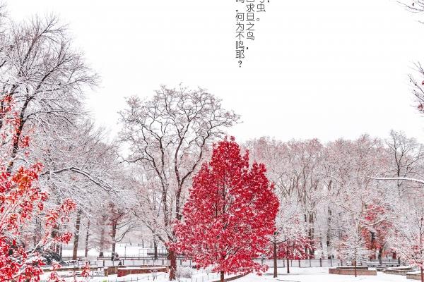 2023年9月23日结婚黄道吉日 秋分嫁娶吉日查询