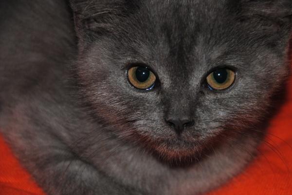 狂月天时 12星座一周简运2023/08/07-08/13