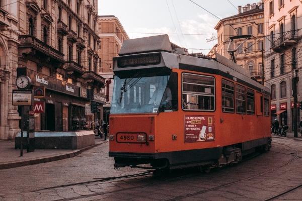 2023年中元节出生的兔子好不好 关于对兔宝宝的教育