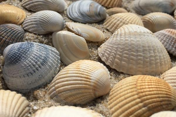 唐立淇 12星座周末运势8.12-8.13