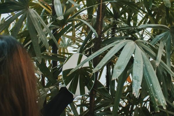 93鸡94狗婚配为大忌?二者的婚姻走势与化解分析