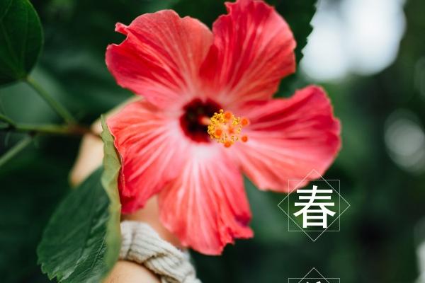 白羊男最稀罕的星座女,遇上了就甩不掉!