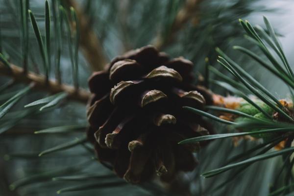 八字命理偏财有什么性格特征 是几等命