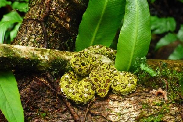 女命大运走正财运好吗 整体运势详解