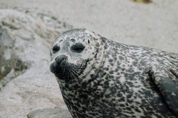 2023年9月25日宜动土吗 今日动土好不好