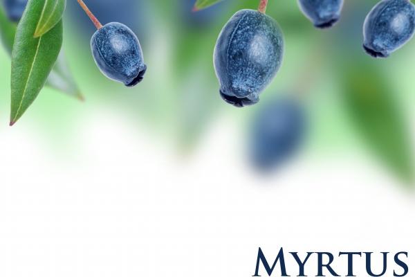 艾菲尔 十二星座一周运势8.14—8.20